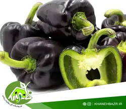 بذر فلفل دلمه مشکی