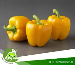 بذر فلفل دلمه نارنجی