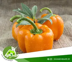 بذر فلفل دلمه نارنجی