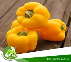 بذر فلفل دلمه نارنجی