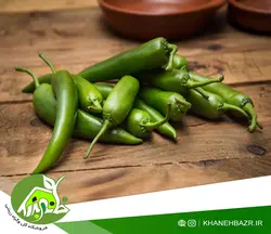 بذر فلفل سبز شیرین