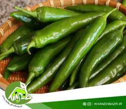 بذر فلفل سبز شیرین