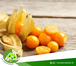 بذر فیسالیس درشت هندی