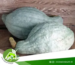 بذر کدو آبی هیوبارد