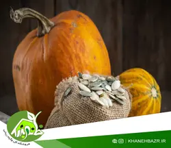 بذر کدو تخم کاغذی