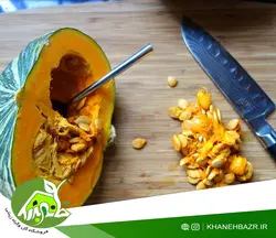 بذر کدو کابوجا