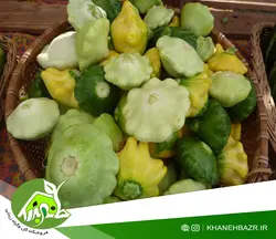 بذر کدو ستاره ای اسپانیایی