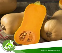 بذر کدو کالابازا