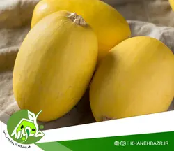 بذر کدو حلوایی اسپاگتی
