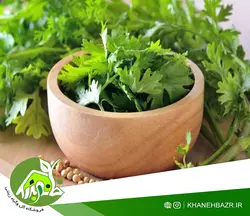 بذر گشنیز