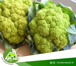 بذر گل کلم سبز ایتالیایی