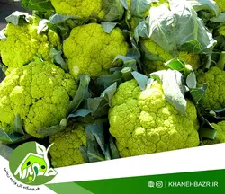 بذر گل کلم سبز ایتالیایی