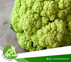 بذر گل کلم سبز ایتالیایی