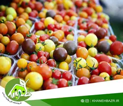 بذر گوجه چری میکس