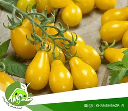 بذر گوجه فرنگی گلابی زرد