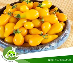 بذر گوجه فرنگی گلابی زرد