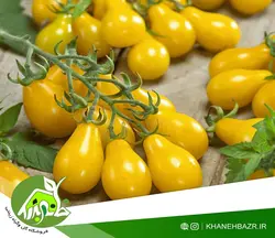 بذر گوجه فرنگی گلابی زرد