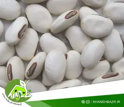 بذر لوبیا جک غول پیکر