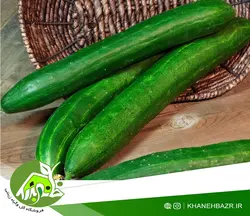 خیار یاماتا ژاپنی