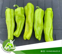 بذر فلفل مازمورت  10عدد