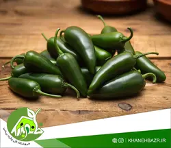 بذر فلفل هالوپینو 10 عدد