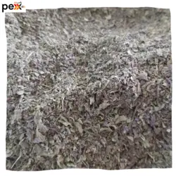 ریحان بنفش بیلوداس - 80گرم