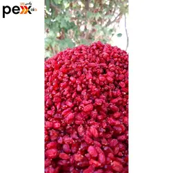 زرشک قاینات محلی - 250 گرم