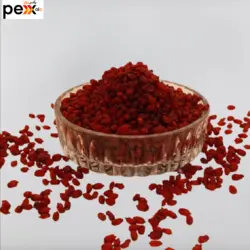 زرشک شاهدخت _100 گرم
