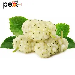 شیره توت سفید سحرانا - 400 گرم