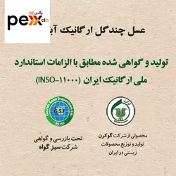 عسل چند گل آبگینه - 900 گرم