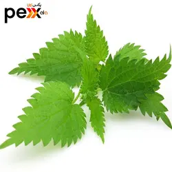 روغن گزنه سحرانا - 30 میلی لیتر