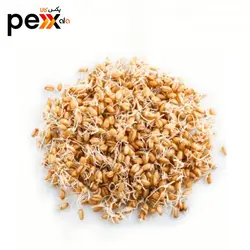 روغن جوانه گندم سحرانا - 30 میلی لیتر