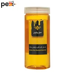 عسل کوه های بزقوش - 1000 گرم