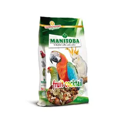 غذای میوه و آجیل طوطی سانان مانیتوبا مدل fruit cocktail وزن 700 گرم