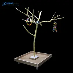 درختچه خزیدن طوطی کد SP2