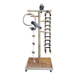 استند طوطی کدSPS6