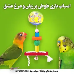 اسباب بازی طوطی برزیلی - مرغ عشق | اسباب بازی طوطی سانان و پرندگان کد 2052