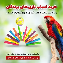 اسباب بازی طوطی کد 2032