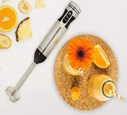 گوشت کوب تک کاره یورو لوکس مدل EU-HB2055LSB - مادانو