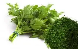 خردکن 7 لیتری سیلور کرست مدل SL-2021 - مادانو