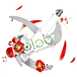 خردکن 5 لیتری پروفی مکس آلمان مدل:MG003 - مادانو