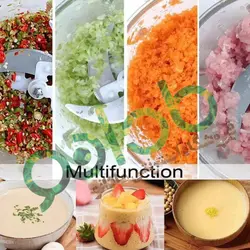 خردکن 5 لیتری پروفی مکس آلمان مدل:MG003 - مادانو