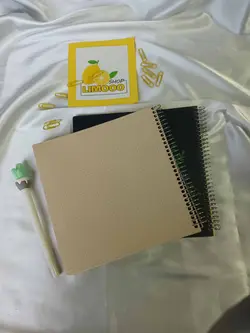 دفتر بولت ژورنال (آلینا)