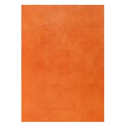 پوشه مقوایی 230 گرم بهاران