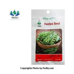 بذر نخود فرنگی سبز