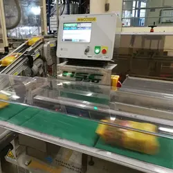 دستگاه چک ویر استاندارد Nemesis سری C