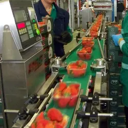 دستگاه چک ویر استاندارد Nemesis سری C