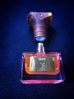 الکسیر ادکلن هات 30میل HOT