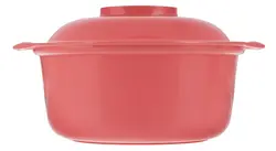 ظرف نگهدارنده غذا یزدگل کد 153