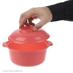 ظرف نگهدارنده غذا یزدگل کد 153